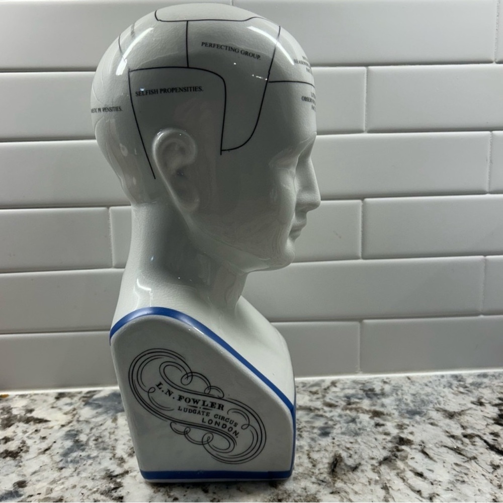Porcelain L.N. Fowler Phrenology Psychology Head Bust 12” - Picture 3 of 6